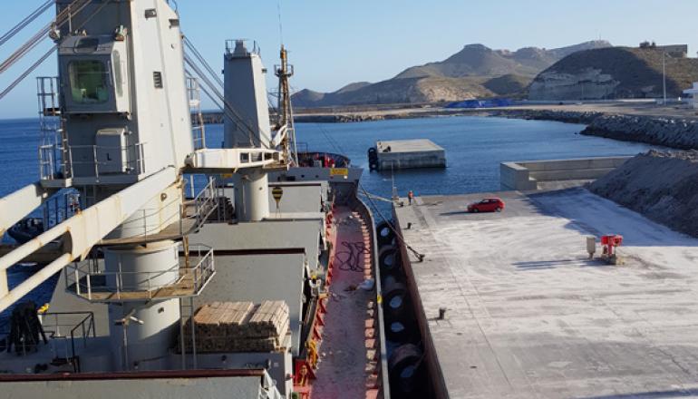 Terminal Público, buque atracado al muelle Ribera 1