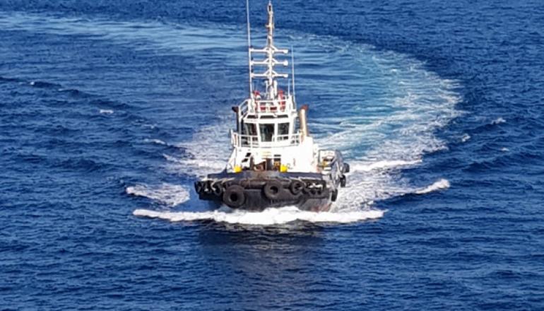 VB Mustang aproximacion