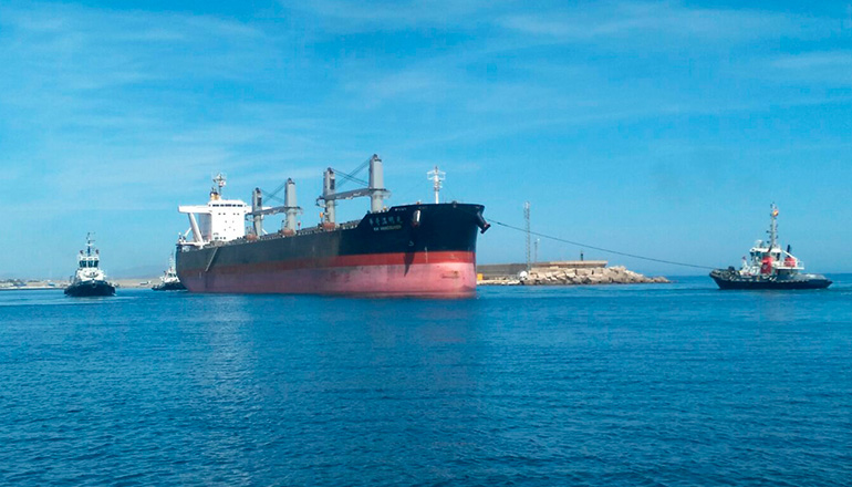 Procedimiento Garrucha